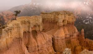 Amphitheater Fog