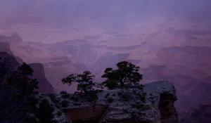 Yaki Point Purple Haze