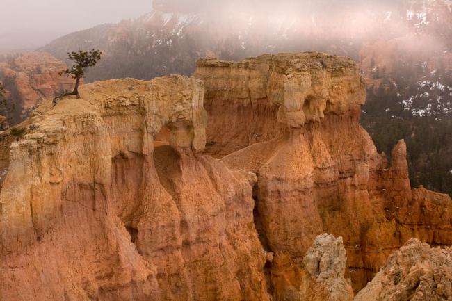 Amphitheater Fog