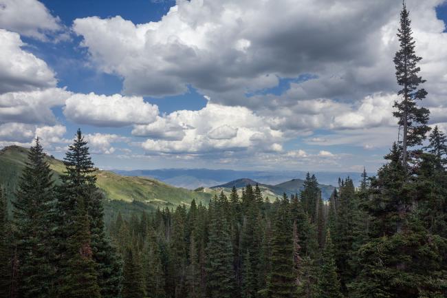 Guardsman Pass