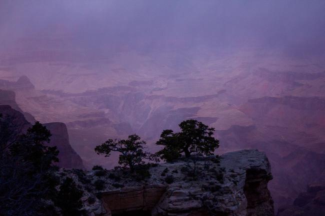 Yaki Point Purple Haze